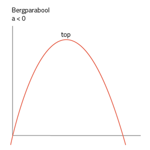 Slimleren - Grafieken van kwadratische formules & functies